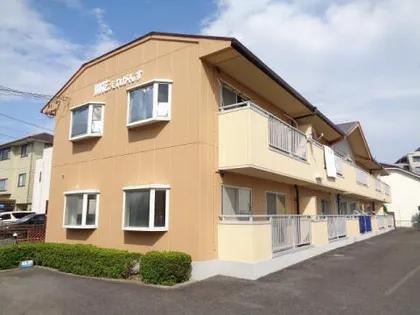 開花エレガンスの画像