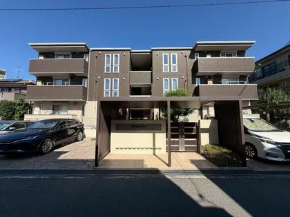 グリシンヌカーサの画像