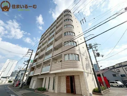 ELーSIA UMEKITAの画像