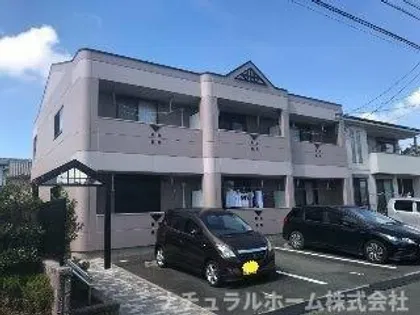 スプリングスの画像