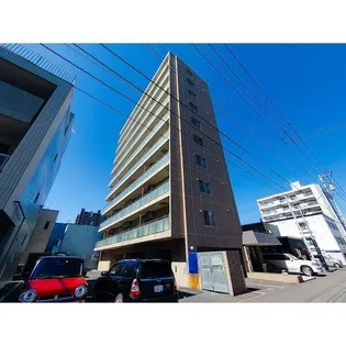 キャロット13の画像