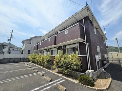 プラスパーBの画像