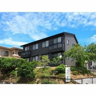 エーデルワイスの画像