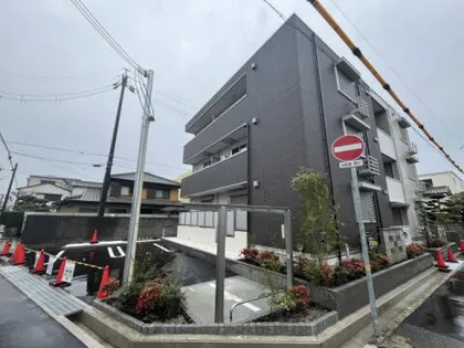 フィオーレの画像