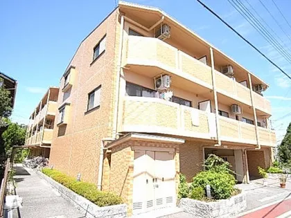 サンパウロの画像