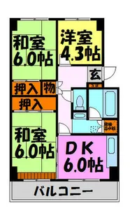 栄南団地10号棟【302号室】の間取り