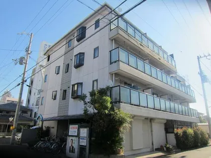 カサグランデモモの画像