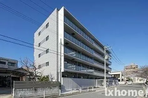 ソラードセンリの画像