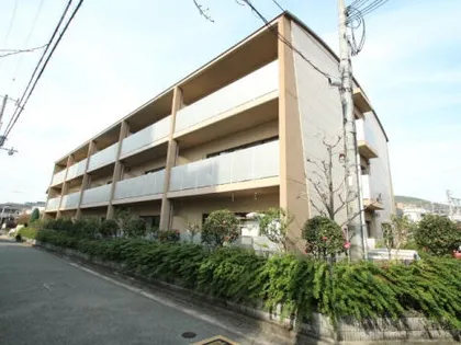 プロシードカイトの画像