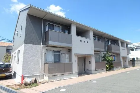 カメリアの画像