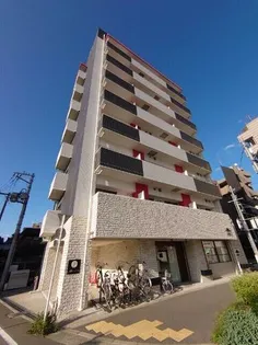 ONLY ONE池田の画像