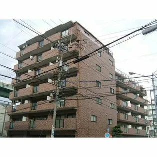 マーブルアサイの画像