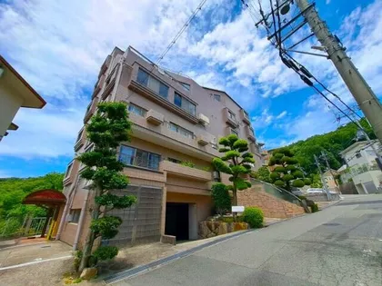 山仁サツキハイツ3の画像