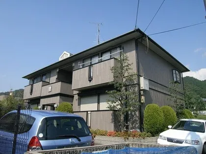 メイプル バレイの画像