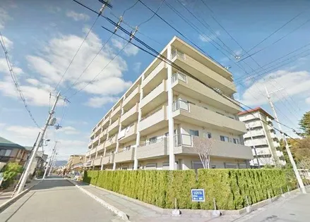 リコリスの画像