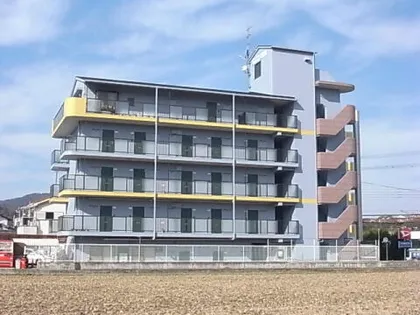 プラザイマイの画像