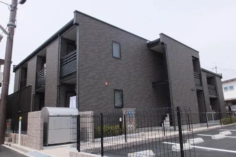 レオネクストファレノプシス上野の画像