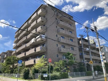 レジェンダリー小松の画像