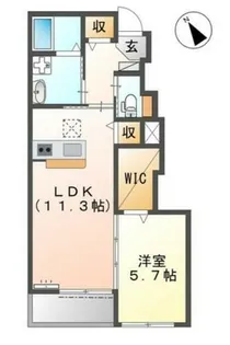 アメイジング コート【1階】の間取り