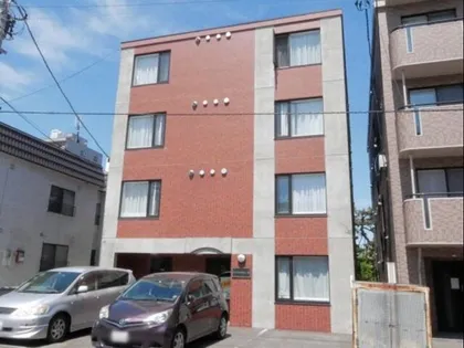 ジプソフィラの画像