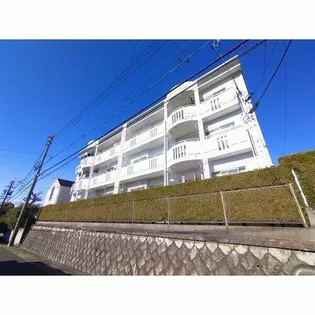 サンハイツ亀の井の画像