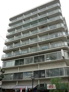 山手ダイヤハイツ【6階】の外観