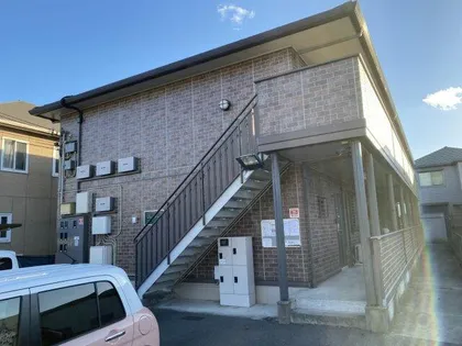 ダンディライオンの画像