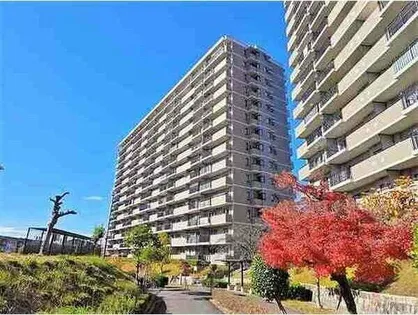 桃花台パークヒルズ五番館の画像