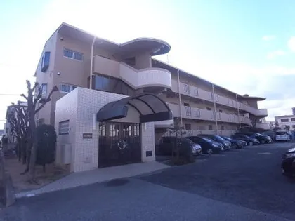 メゾンアムールの画像