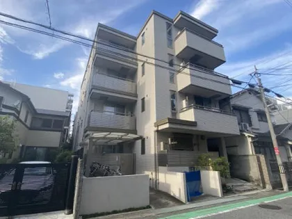 ブルーリーフⅡの画像