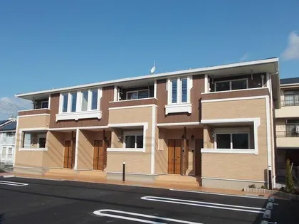 ヴィオラの画像