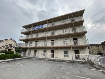 ドミールの画像