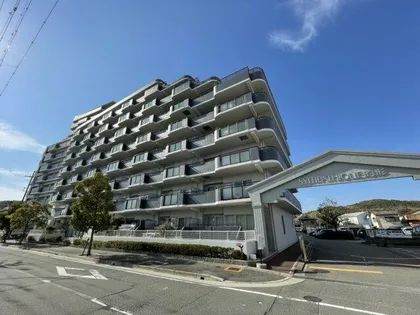 サンパティック的形の画像