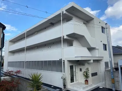 ヴァーダントMの画像