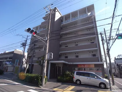 サンステラの画像