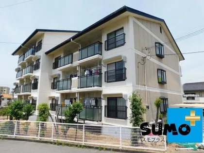 サングリーン今井の画像