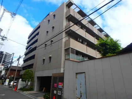 フォルテレッセNの画像