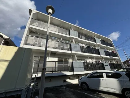 田寺ハイツの画像