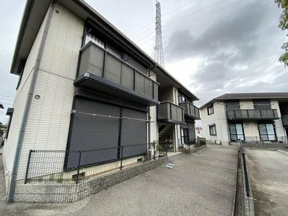 ディアス鵤の画像