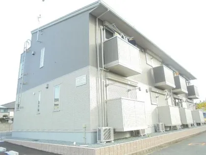 プラムコートの画像