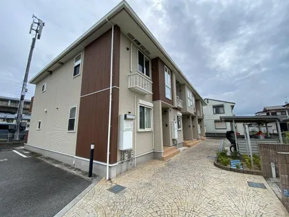 プリムローズの画像