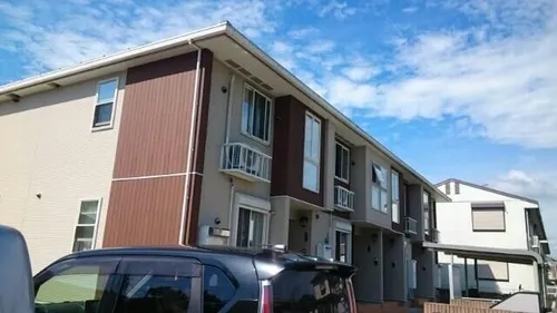 プリムローズの画像