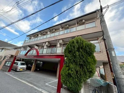 ゾルメゾンの画像