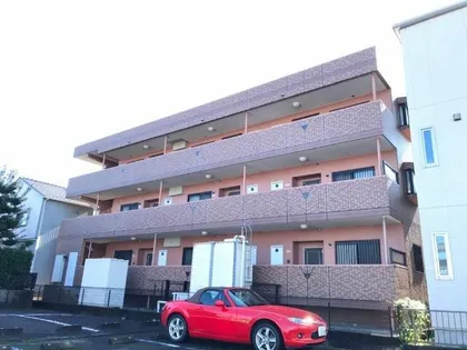 レンソイスの画像