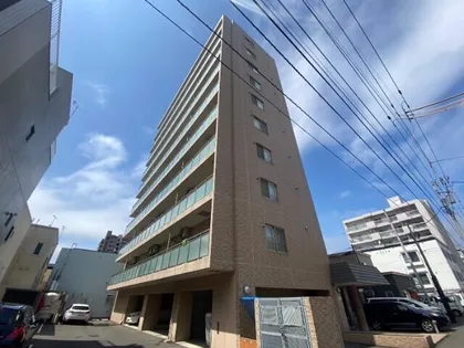 キャロット13の画像