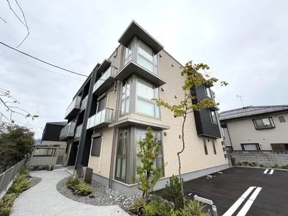 シトリネの画像