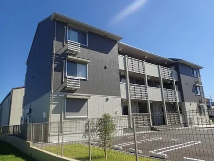 CASA RAFFINE 青地の画像