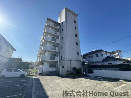 ルネ アルマーニの画像