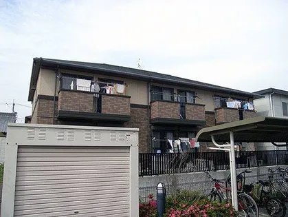 ビューラーアヤBの画像