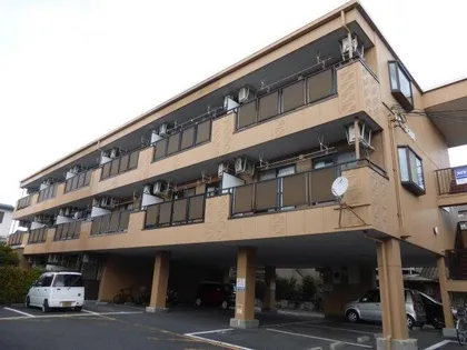 アドニス大崎の画像